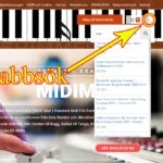 snabbsok